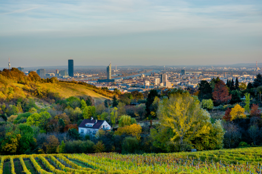 Vineyard in Front of Vienna - Austria Austria Working and Living in Austria Migrate to Austria Consultation