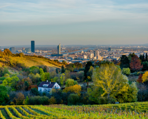 Moving to Germany: Discover life in Germany, apartment in Munich, and arrange move to Germany, move to hamburg from usa, moving to germany from usa, move to germany moving service expat move to germany forwarder