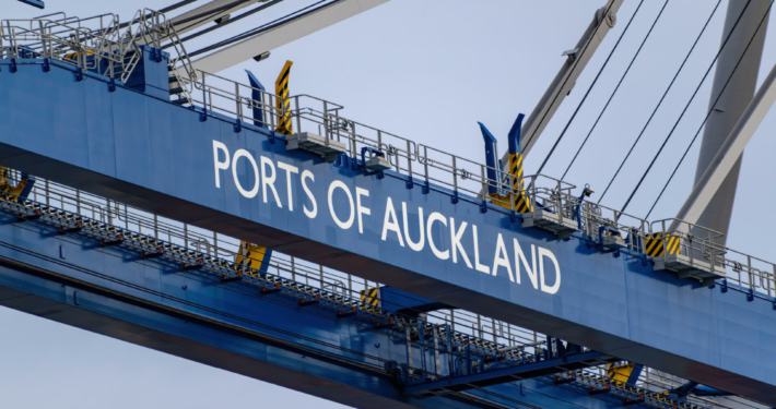 Umzug nach Auckland , Leben in Auckland Umzug Beiladung nach Auckland umzug neuseeland umzug nach neuseeland seefracht neuseeland