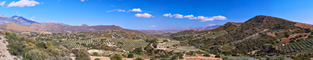 Tal mit Olivenbäumen auf Kreta Griechenland Transport nach Athen Container Transport Griechenland Fracht Piräus