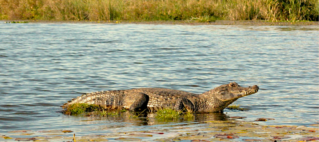 Argentinien Natur Buenos Aires Leben in Argentinien Umzugsunternehmen